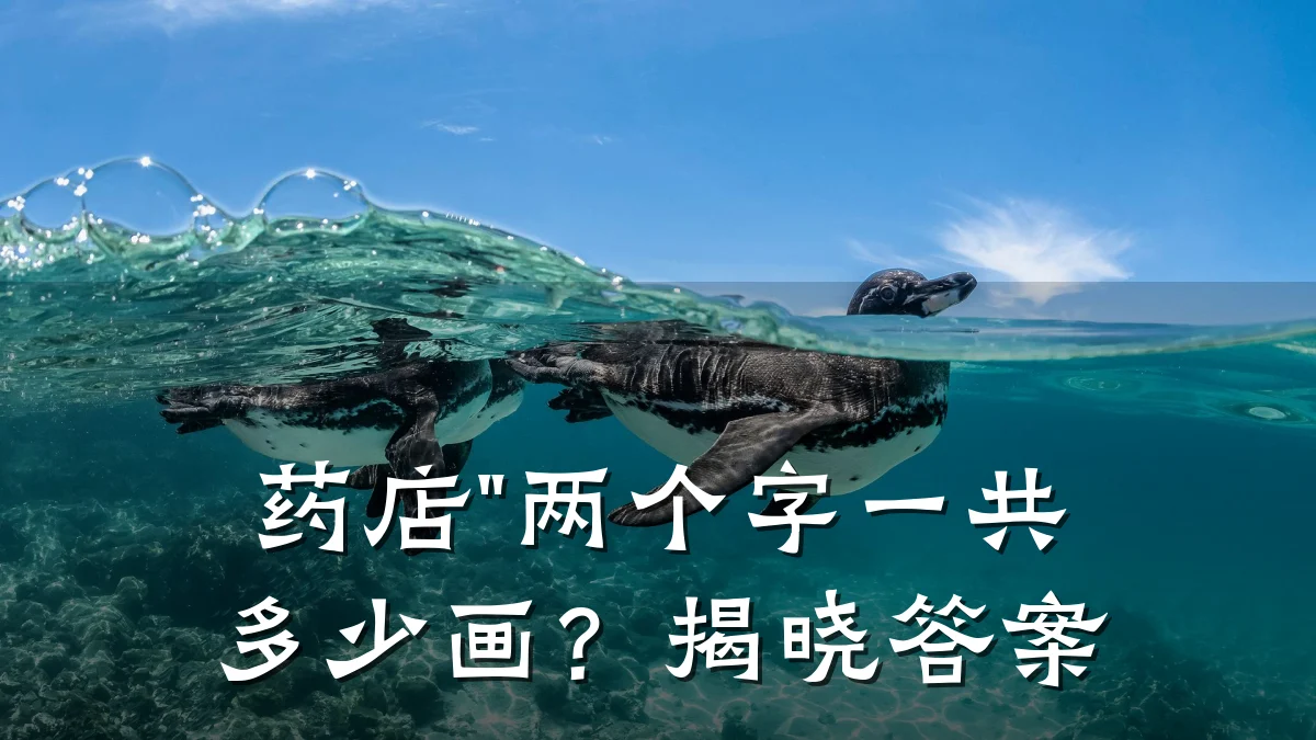 药店"两个字一共多少画?揭晓答案