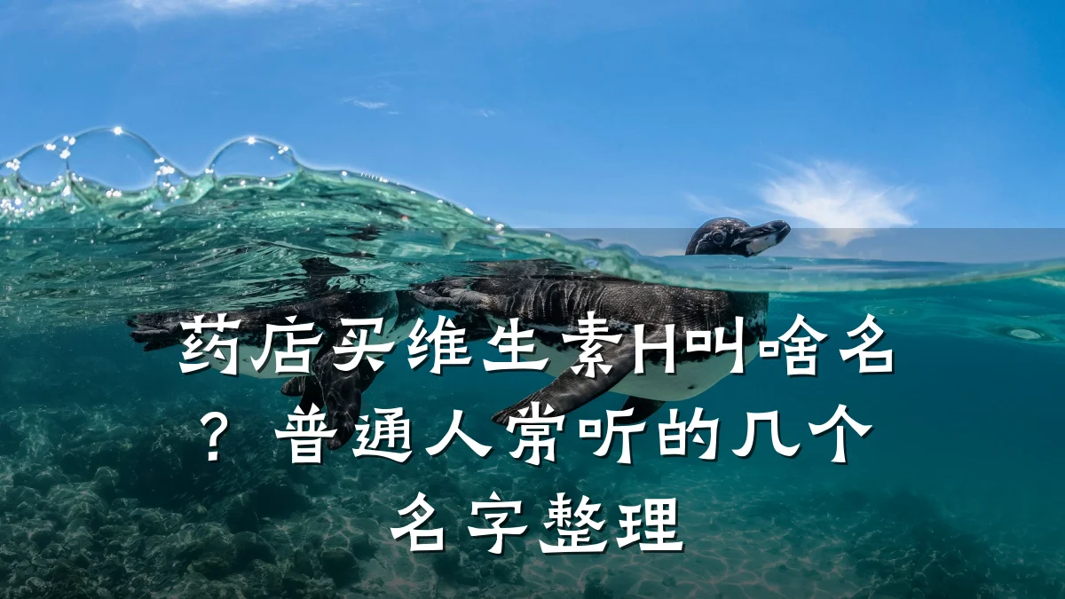 药店买维生素H叫啥名?普通人常听的几个名字整理