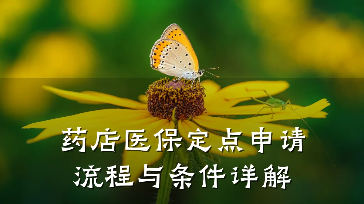 药店医保定点申请流程与条件详解