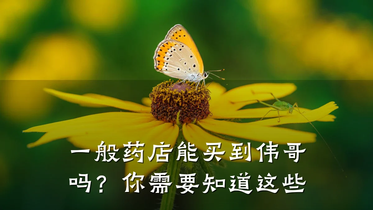 一般药店能买到伟哥吗?你需要知道这些