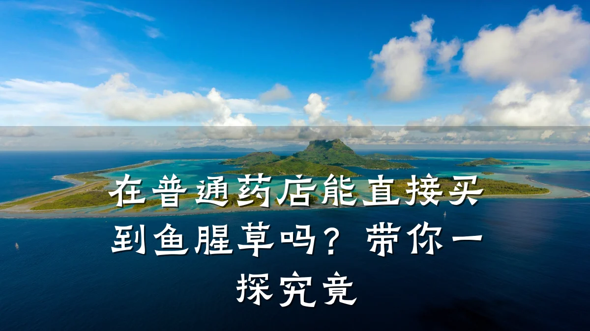 在普通药店能直接买到鱼腥草吗?带你一探究竟