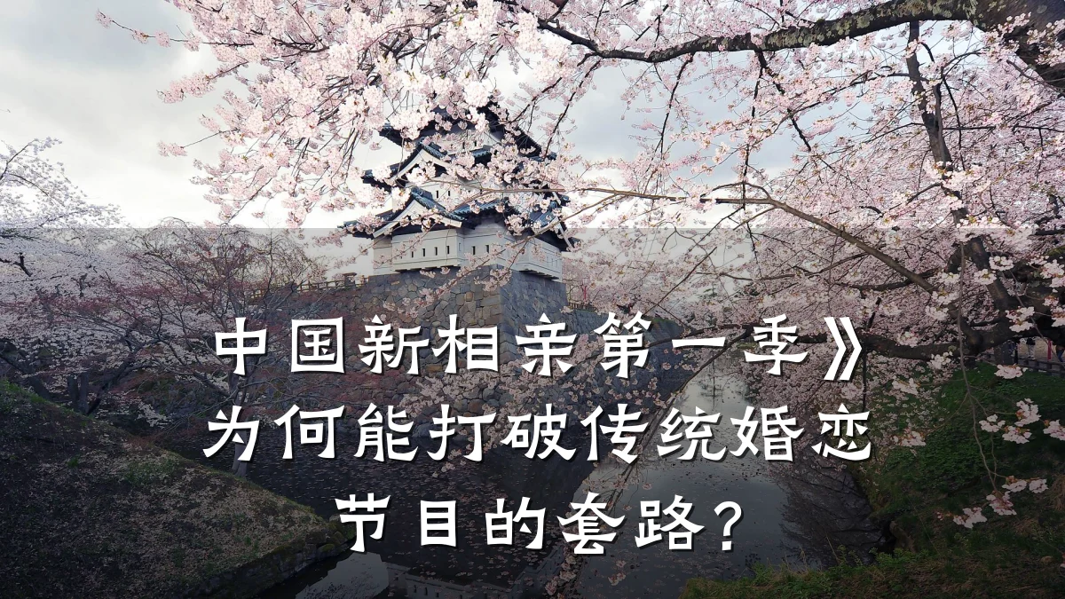 中国新相亲第一季》为何能打破传统婚恋节目的套路?