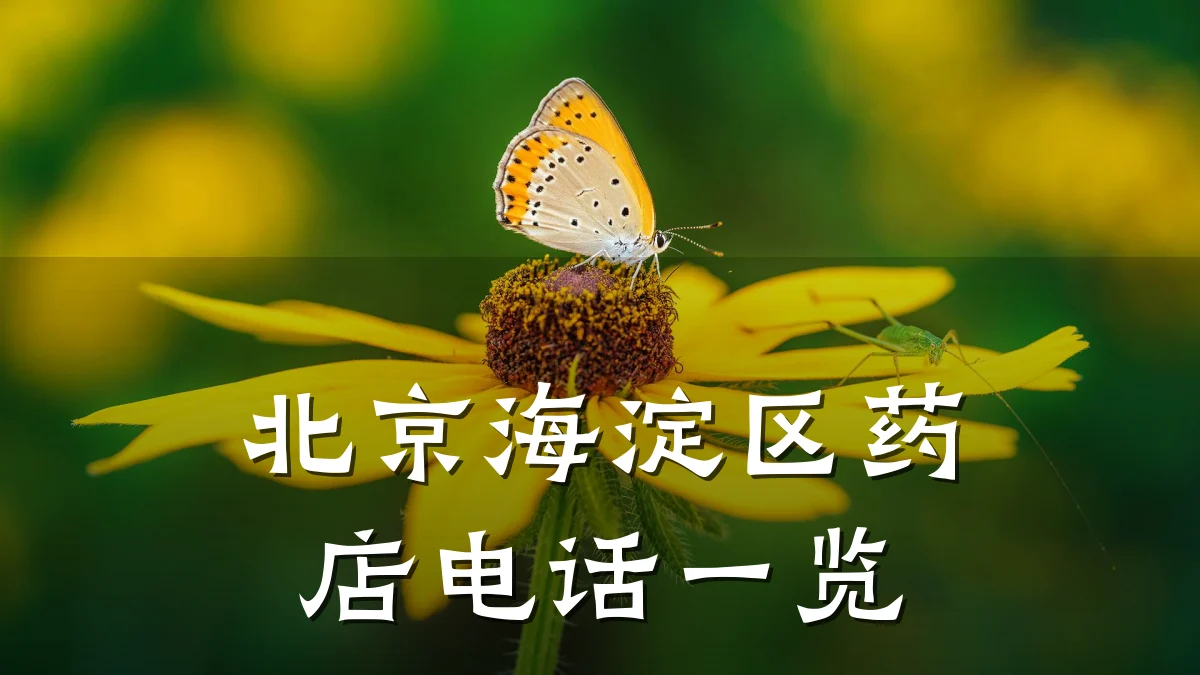 北京海淀区药店电话一览