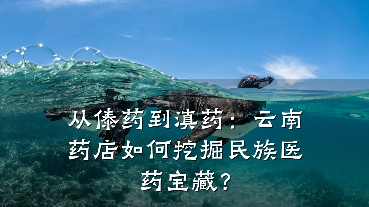 从傣药到滇药:云南药店如何挖掘民族医药宝藏?