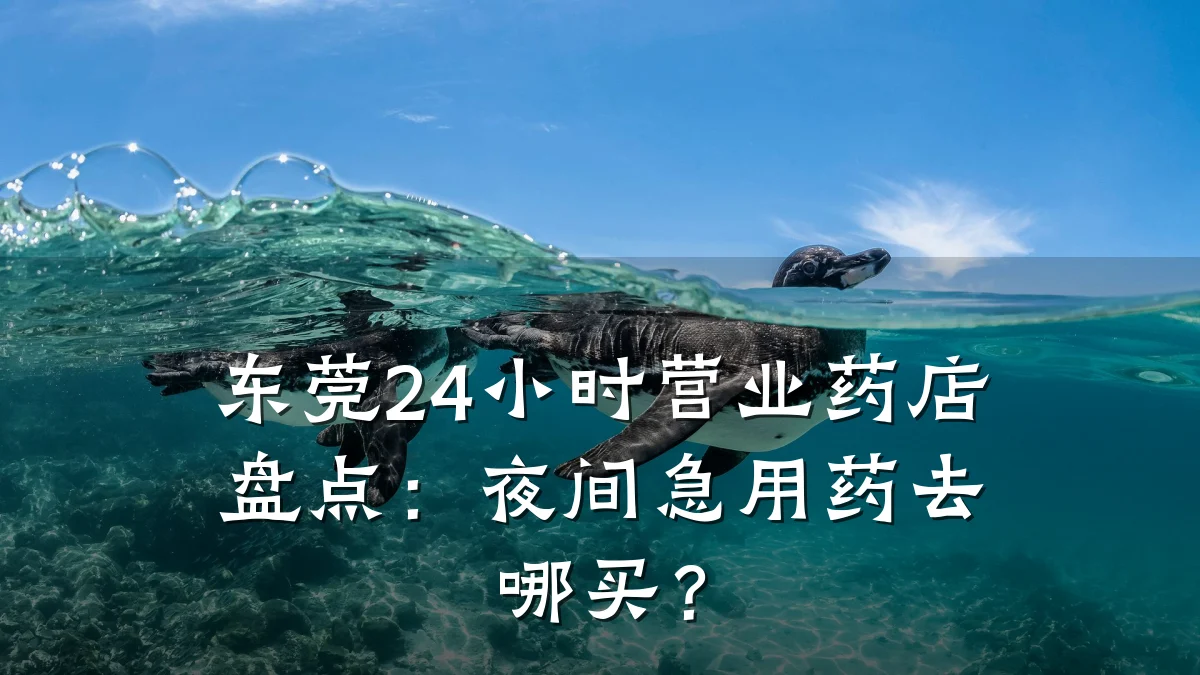 东莞24小时营业药店盘点:夜间急用药去哪买?