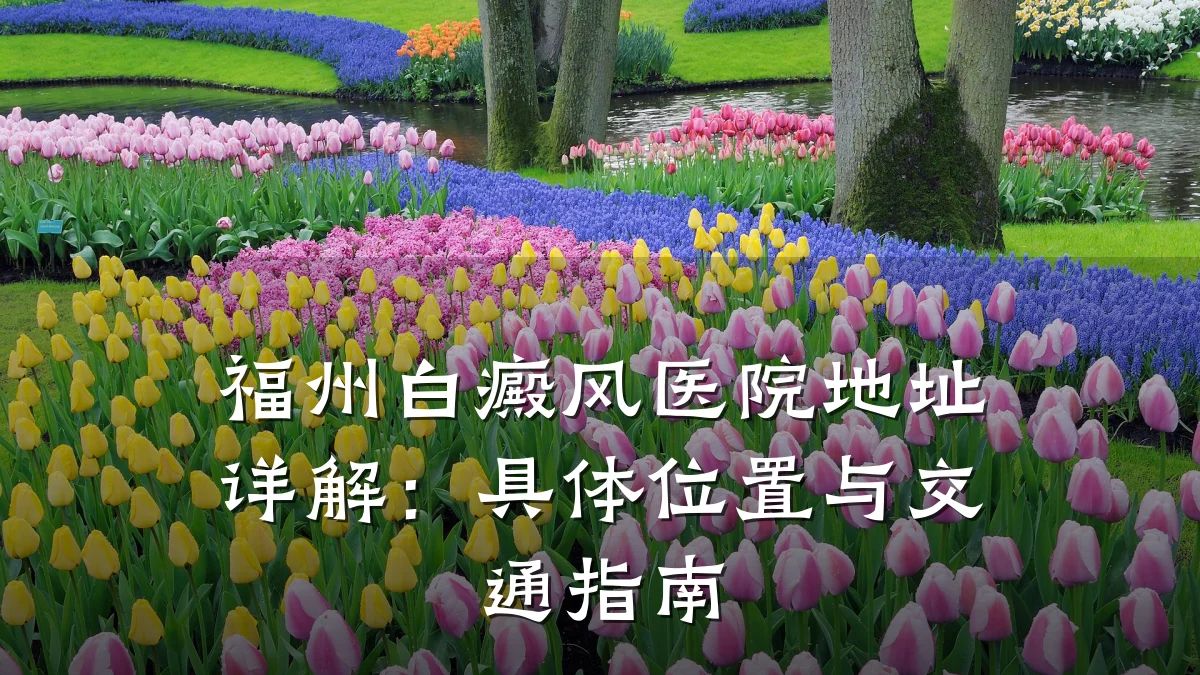 福州白癜风医院地址详解:具体位置与交通指南