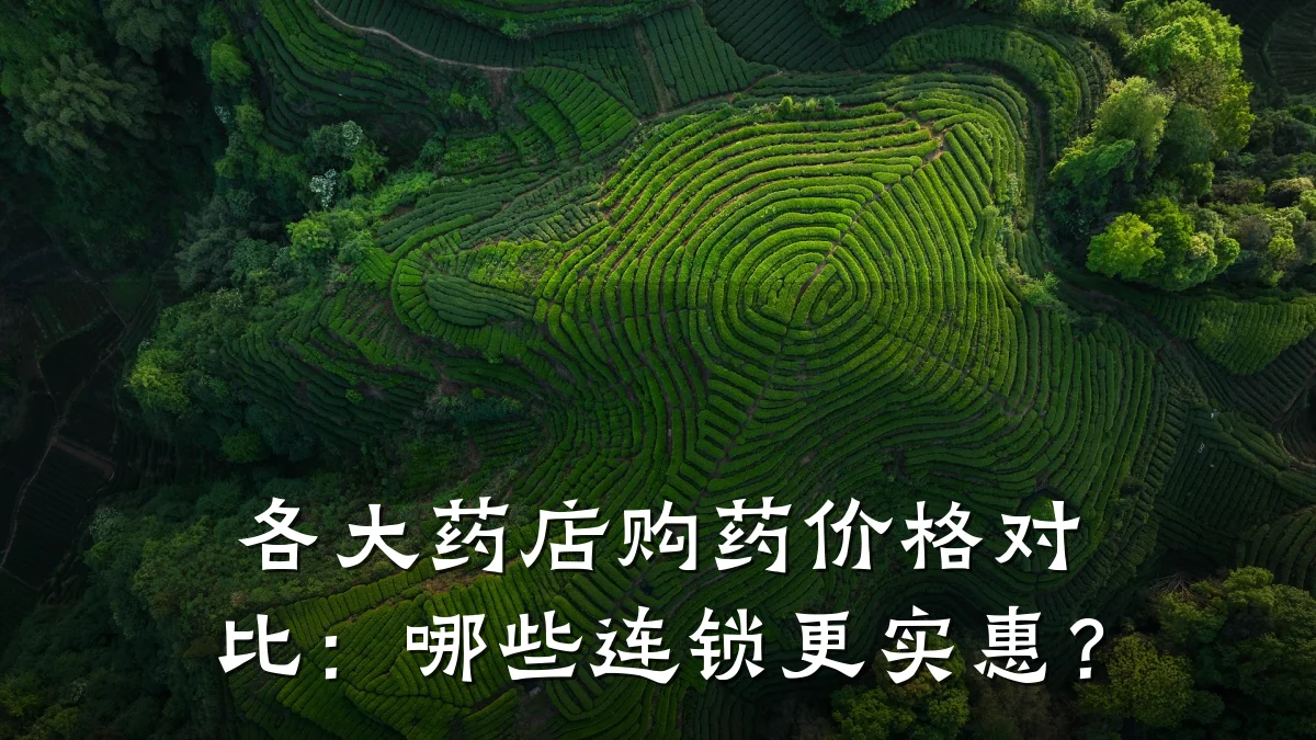 各大药店购药价格对比:哪些连锁更实惠?