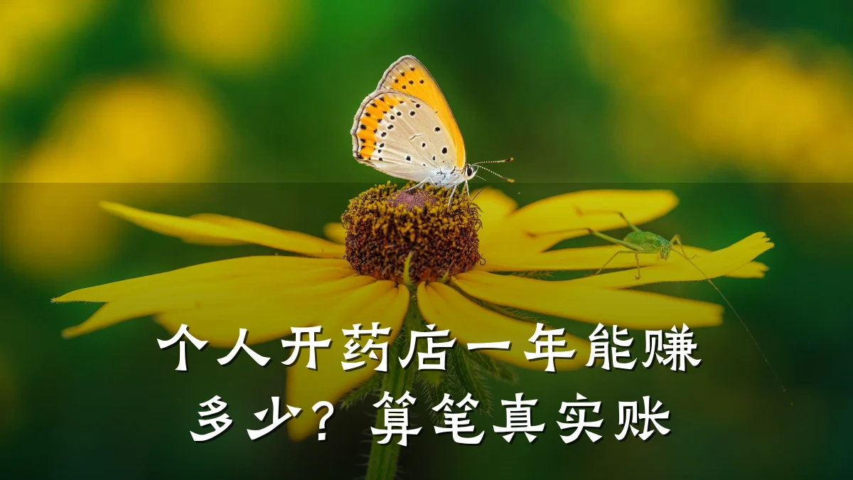 个人开药店一年能赚多少？算笔真实账