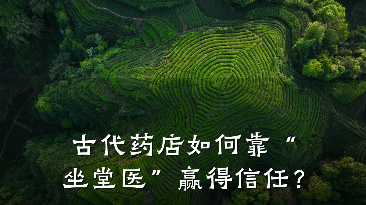 古代药店如何靠“坐堂医”赢得信任?