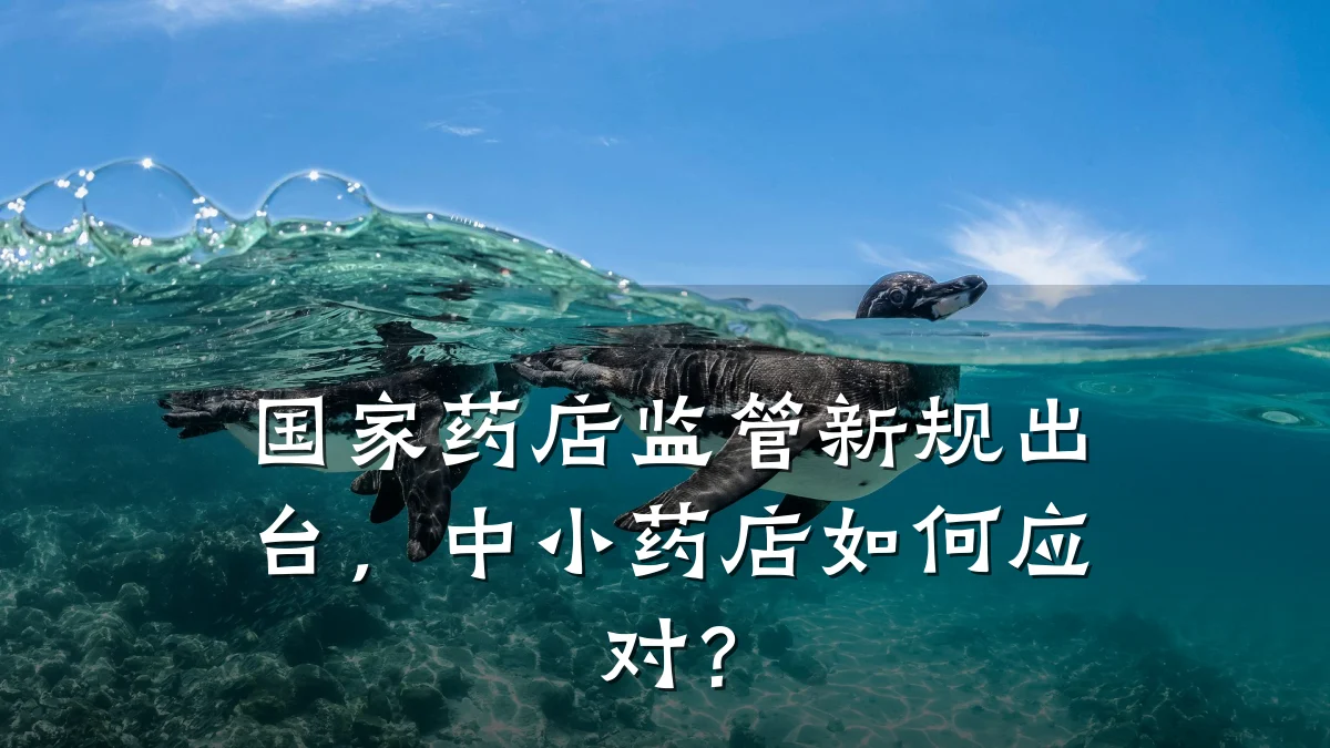 国家药店监管新规出台，中小药店如何应对？