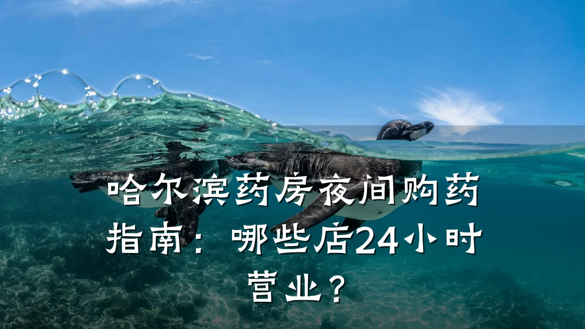 哈尔滨药房夜间购药指南:哪些店24小时营业?