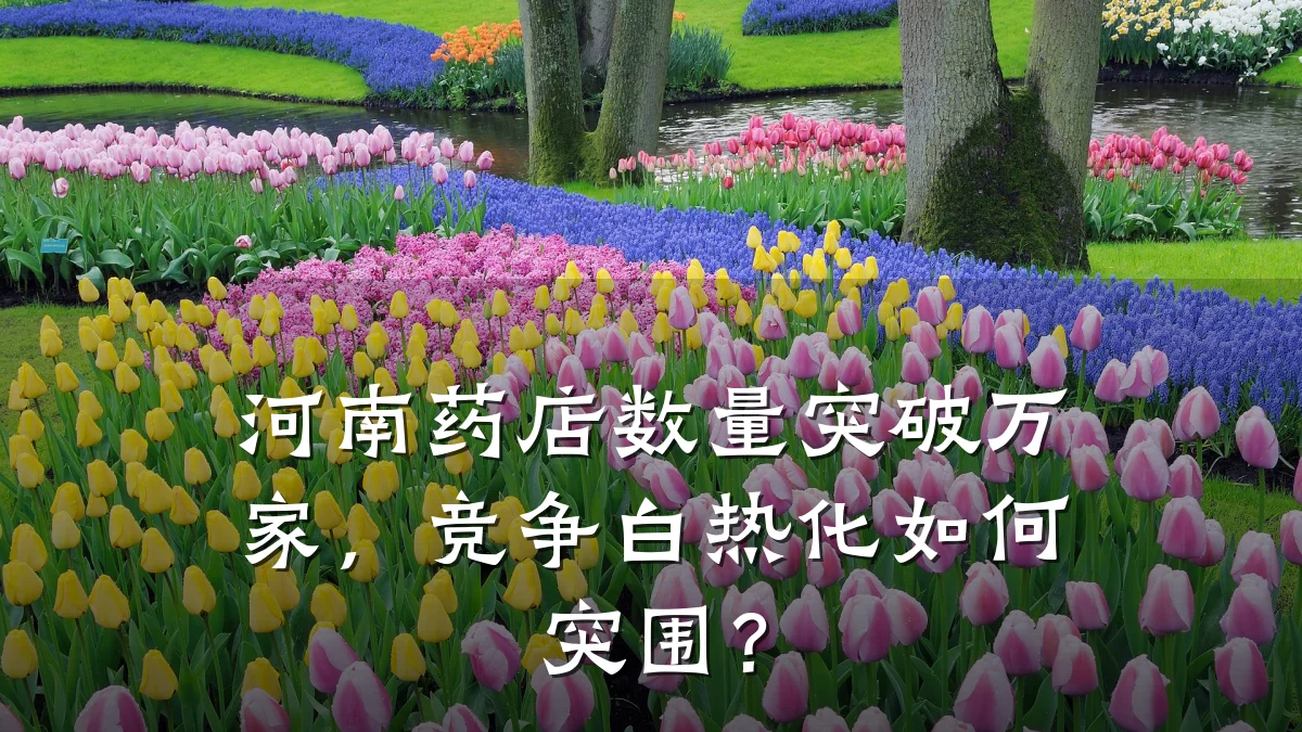 河南药店数量突破万家,竞争白热化如何突围?