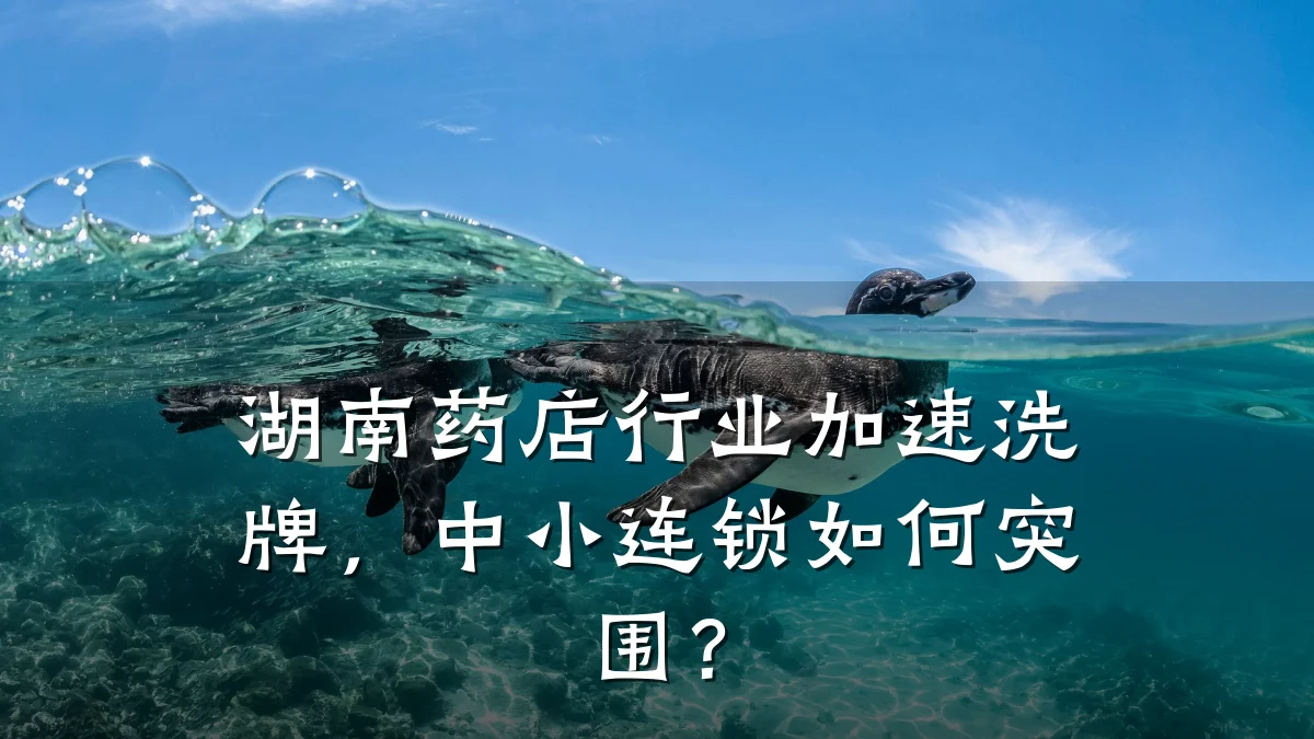湖南药店行业加速洗牌,中小连锁如何突围?