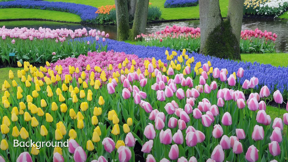 Background