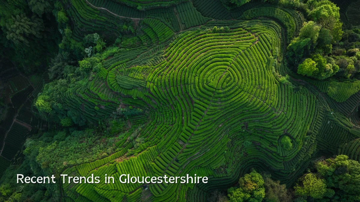Recent Trends in Gloucestershire