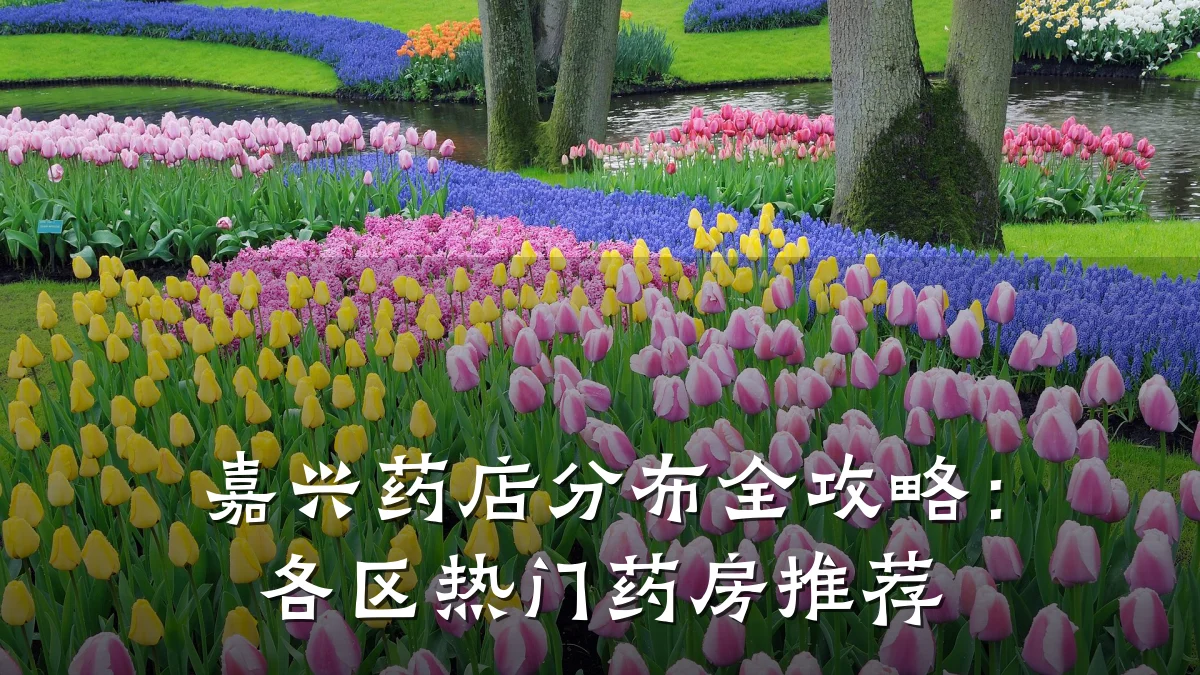 嘉兴药店分布全攻略：各区热门药房推荐