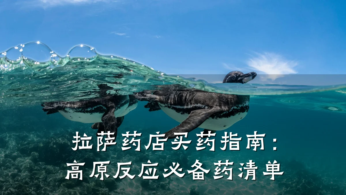 拉萨药店买药指南:高原反应必备药清单