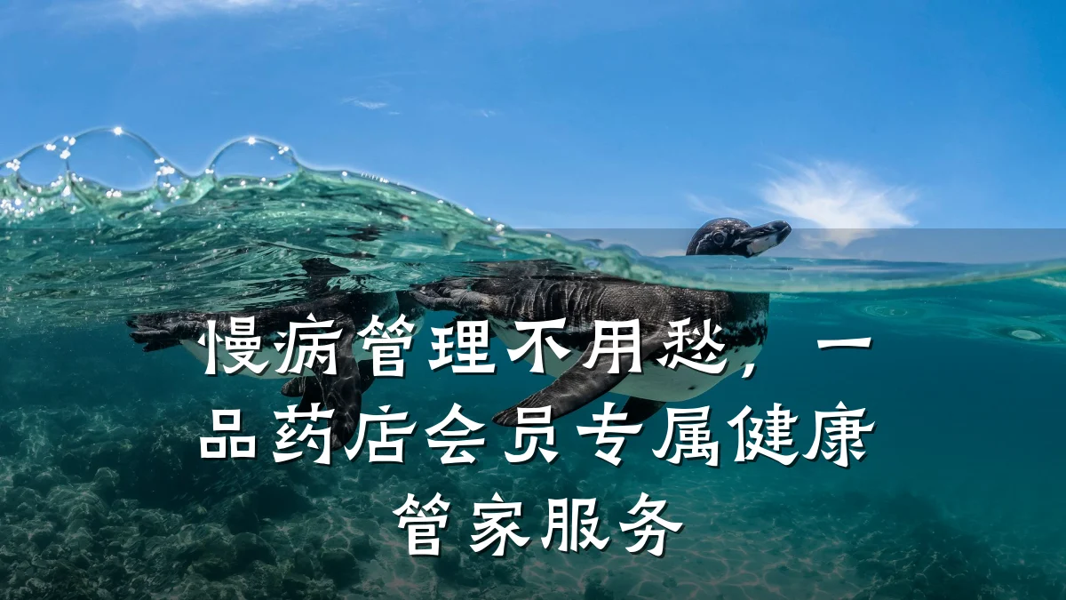 慢病管理不用愁,一品药店会员专属健康管家服务