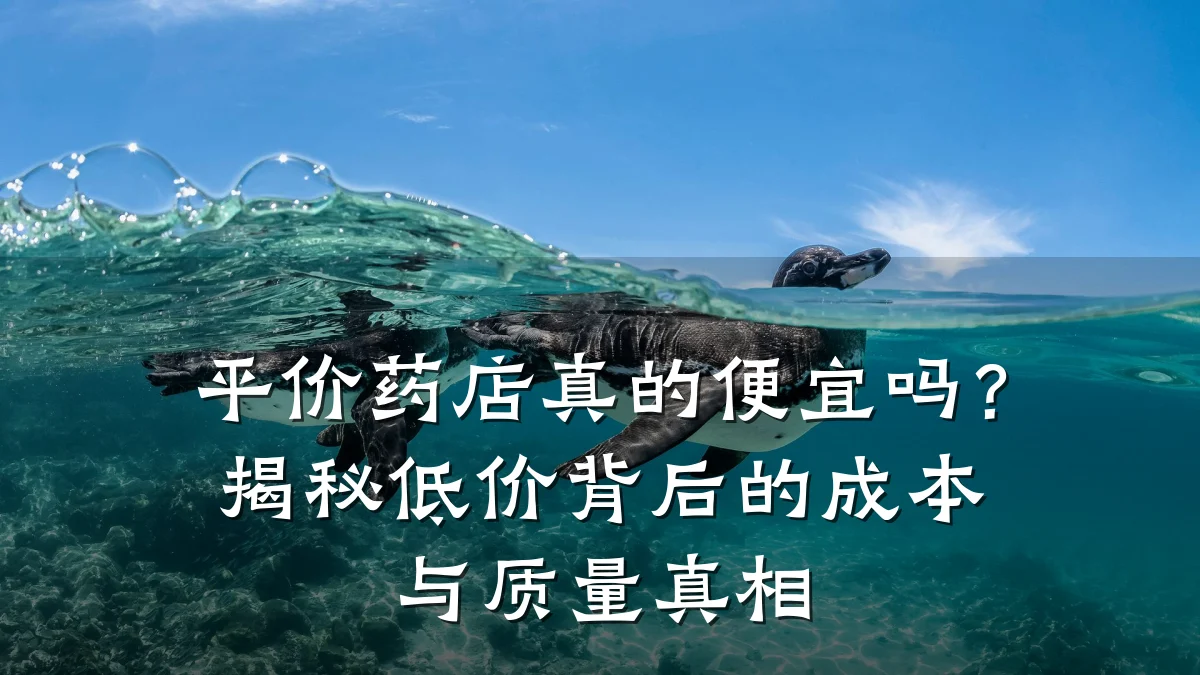 平价药店真的便宜吗?揭秘低价背后的成本与质量真相