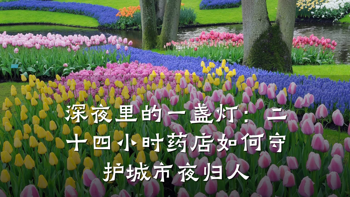 深夜里的一盏灯:二十四小时药店如何守护城市夜归人