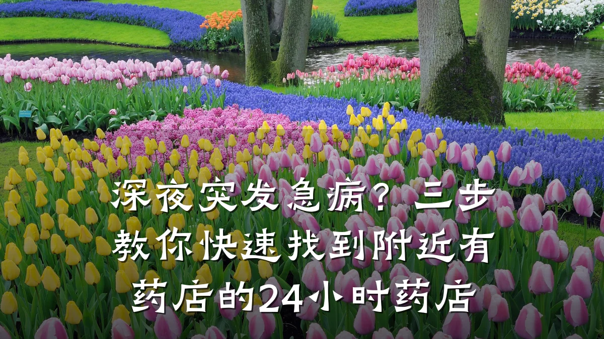 深夜突发急病?三步教你快速找到附近有药店的24小时药店