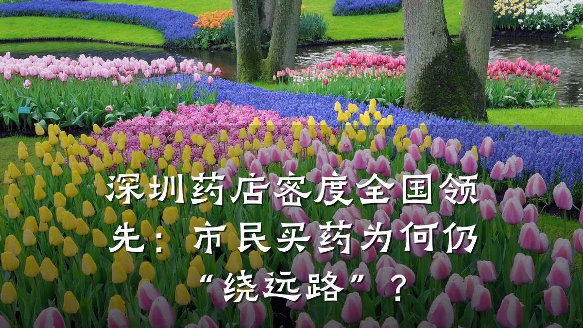 深圳药店密度全国领先:市民买药为何仍“绕远路”?