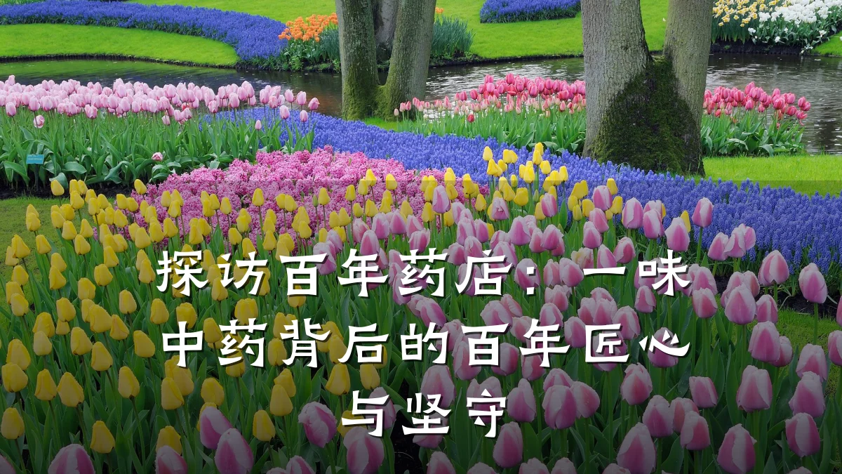 探访百年药店:一味中药背后的百年匠心与坚守