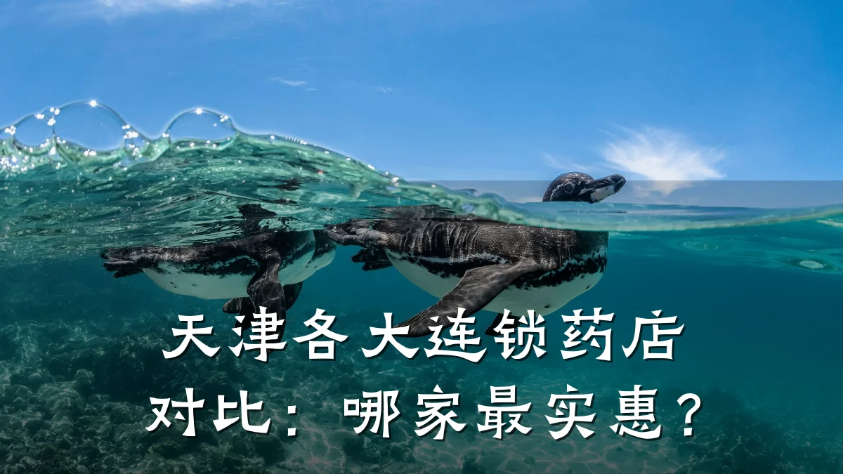 天津各大连锁药店对比:哪家最实惠?