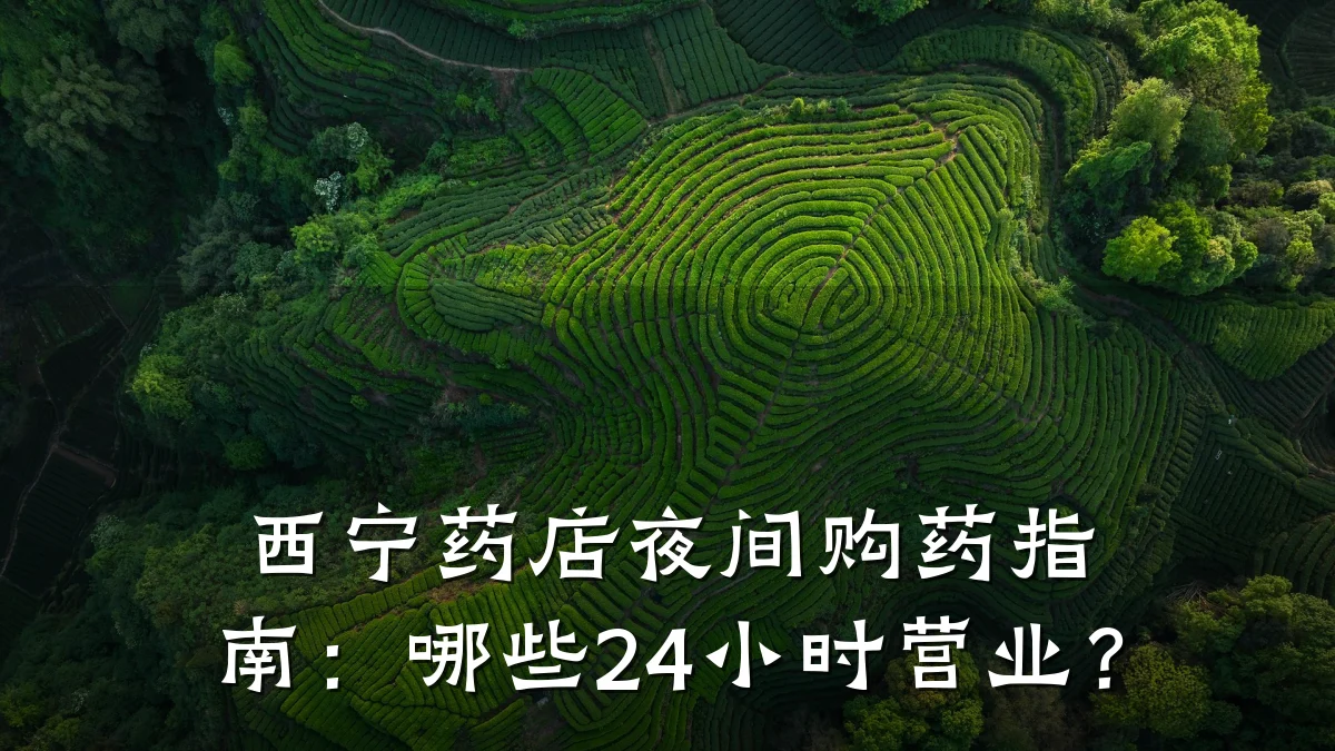 西宁药店夜间购药指南:哪些24小时营业?