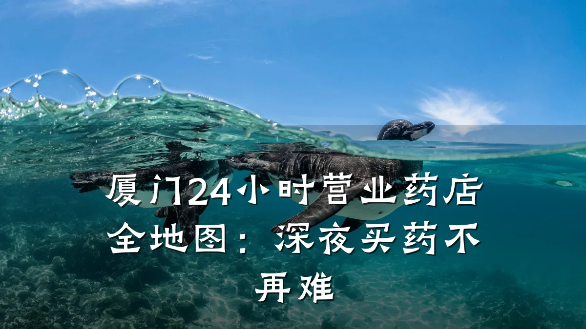 厦门24小时营业药店全地图:深夜买药不再难