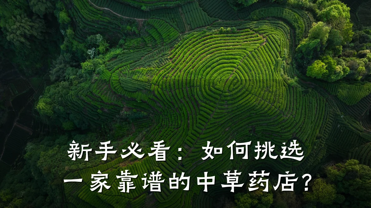 新手必看:如何挑选一家靠谱的中草药店?