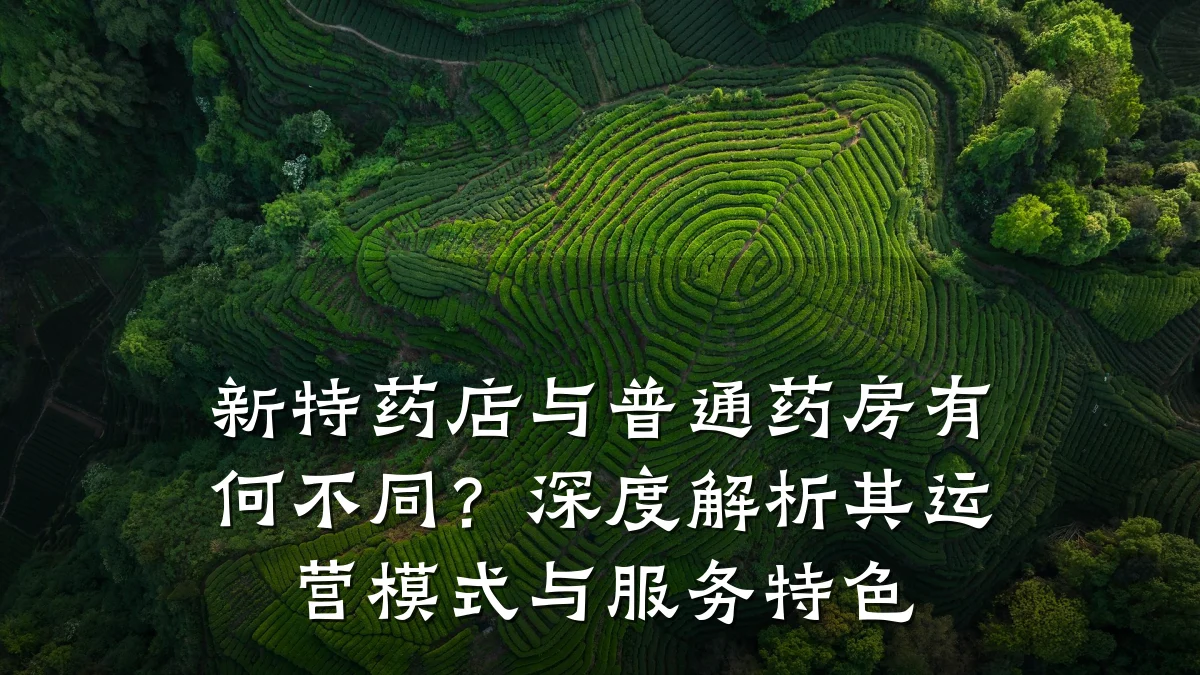 新特药店与普通药房有何不同?深度解析其运营模式与服务特色