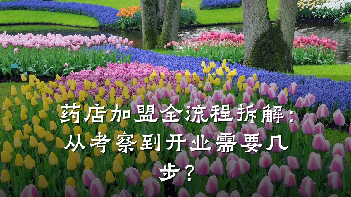 药店加盟全流程拆解:从考察到开业需要几步?