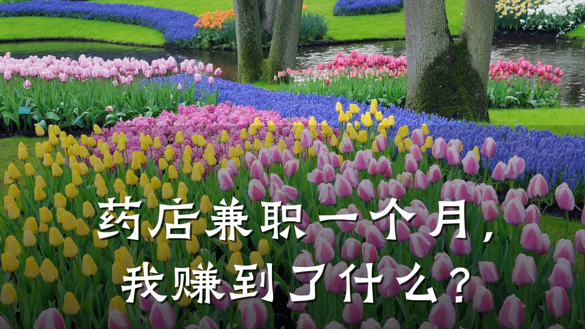 药店兼职一个月，我赚到了什么？