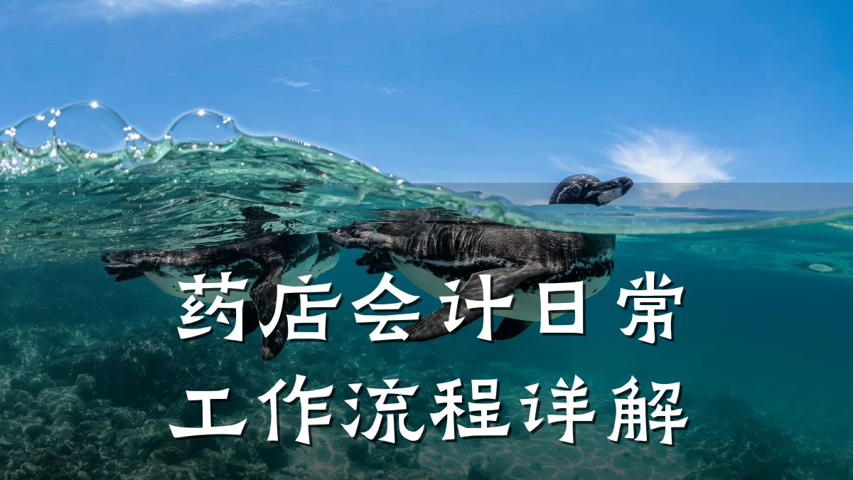 药店会计日常工作流程详解