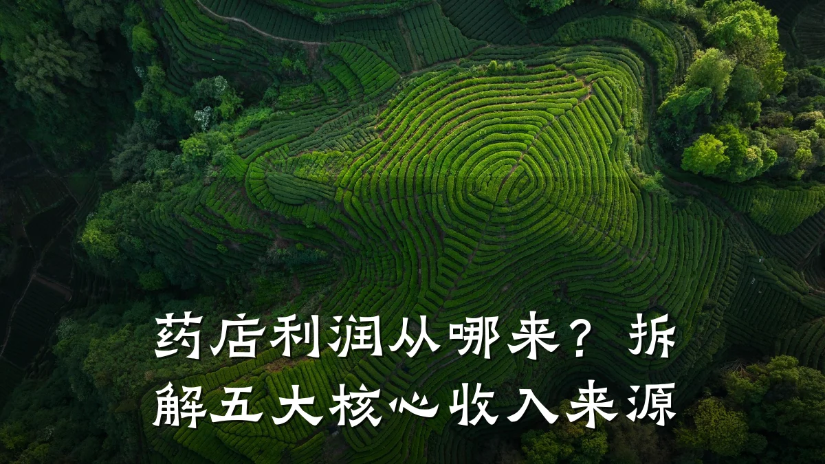 药店利润从哪来?拆解五大核心收入来源
