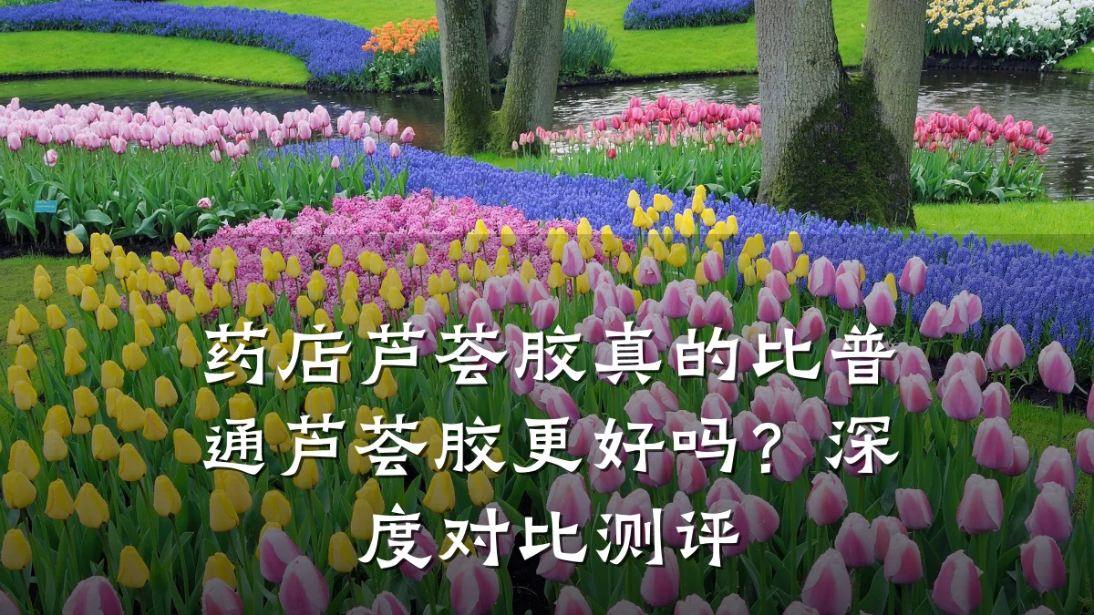 药店芦荟胶真的比普通芦荟胶更好吗?深度对比测评