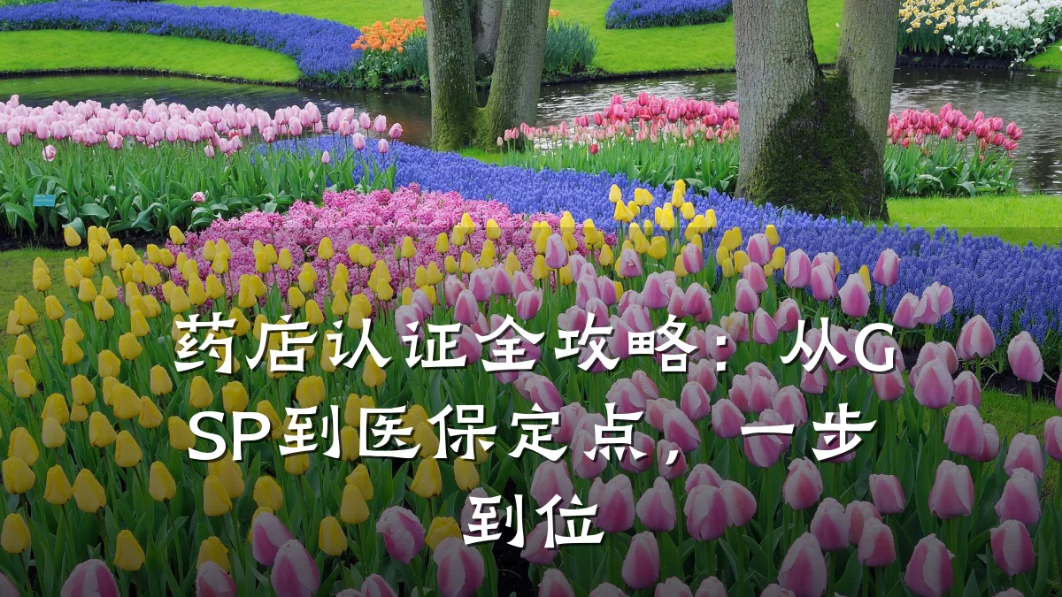 药店认证全攻略：从GSP到医保定点，一步到位