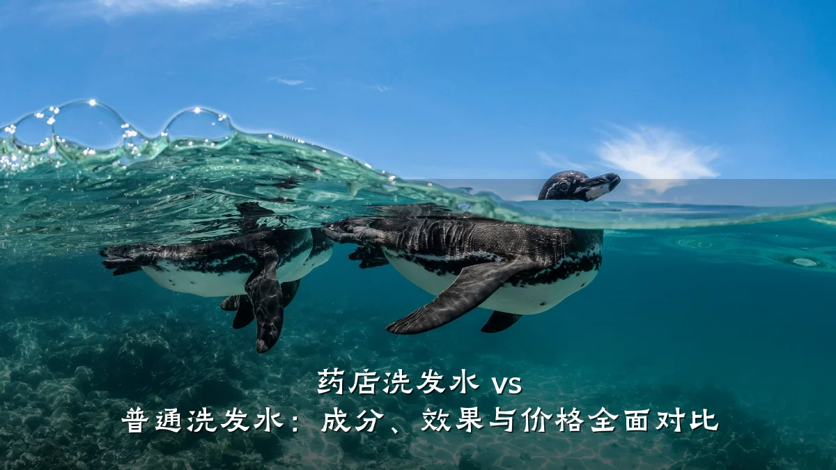 药店洗发水 vs 普通洗发水:成分、效果与价格全面对比