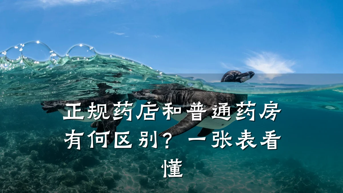正规药店和普通药房有何区别?一张表看懂