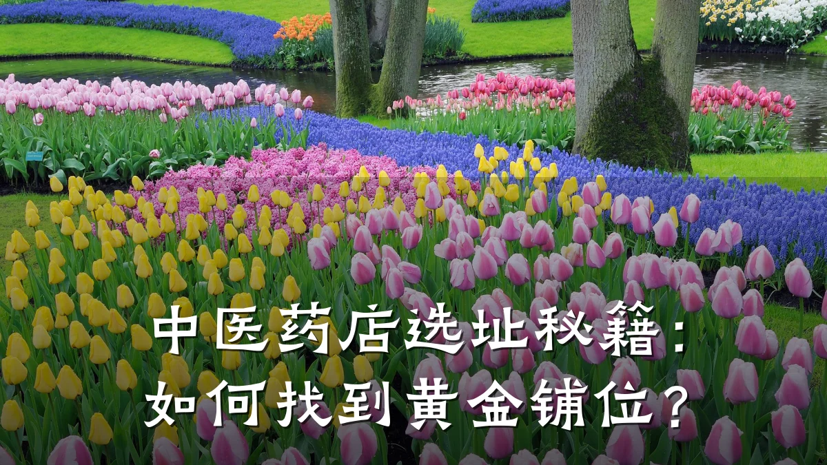 中医药店选址秘籍:如何找到黄金铺位?