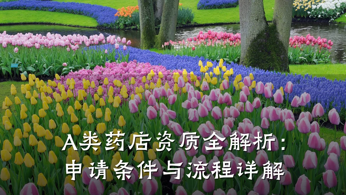 A类药店资质全解析:申请条件与流程详解