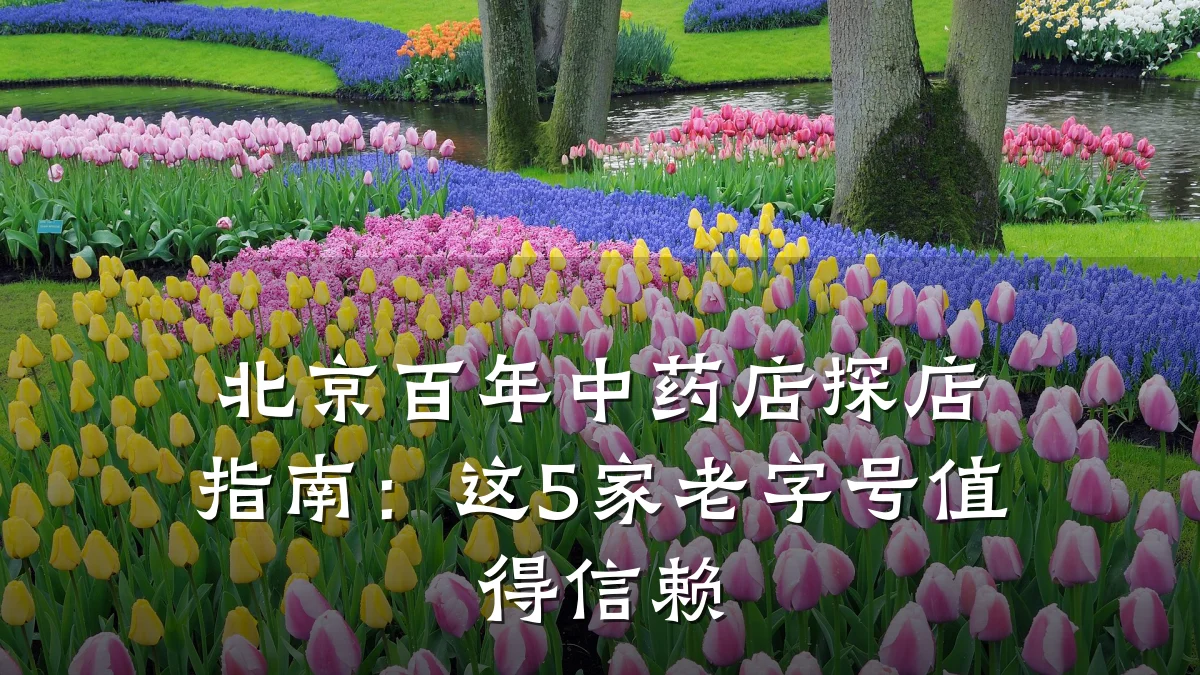 北京百年中药店探店指南:这5家老字号值得信赖