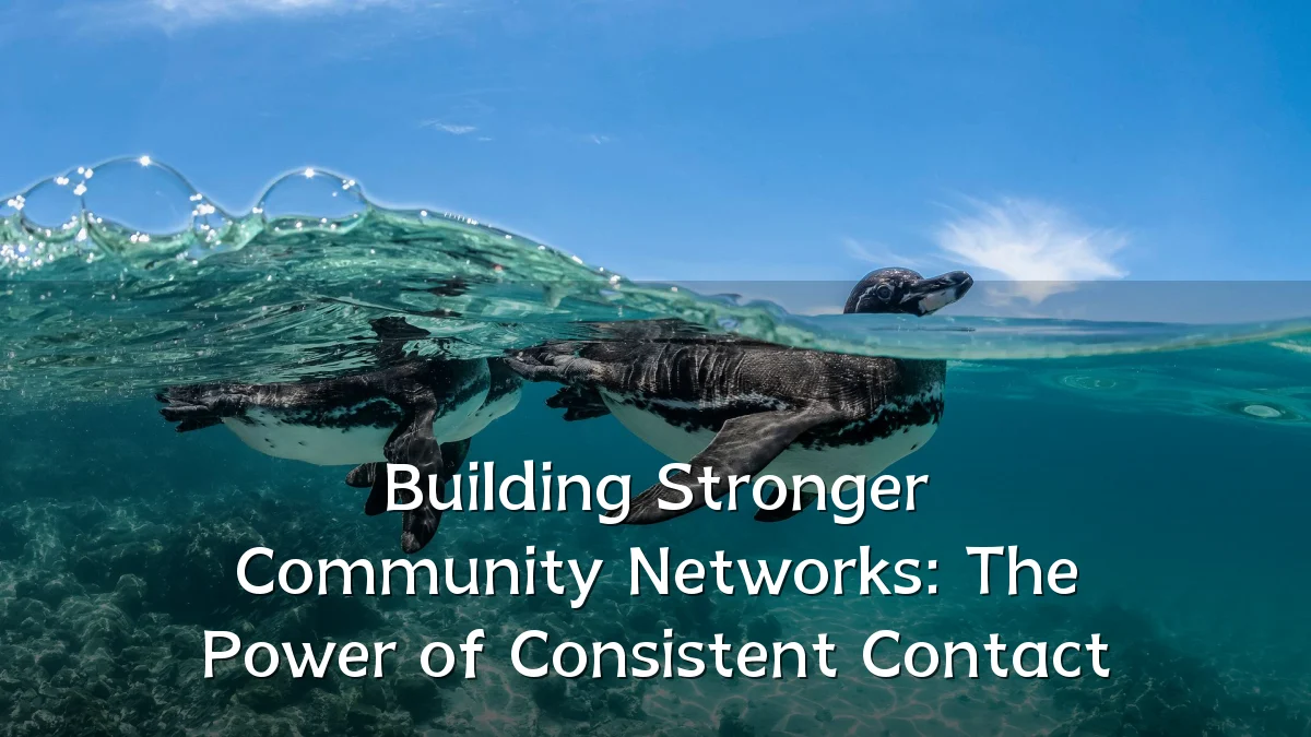 Building Stronger Community Networks: The Power of Consistent Contact