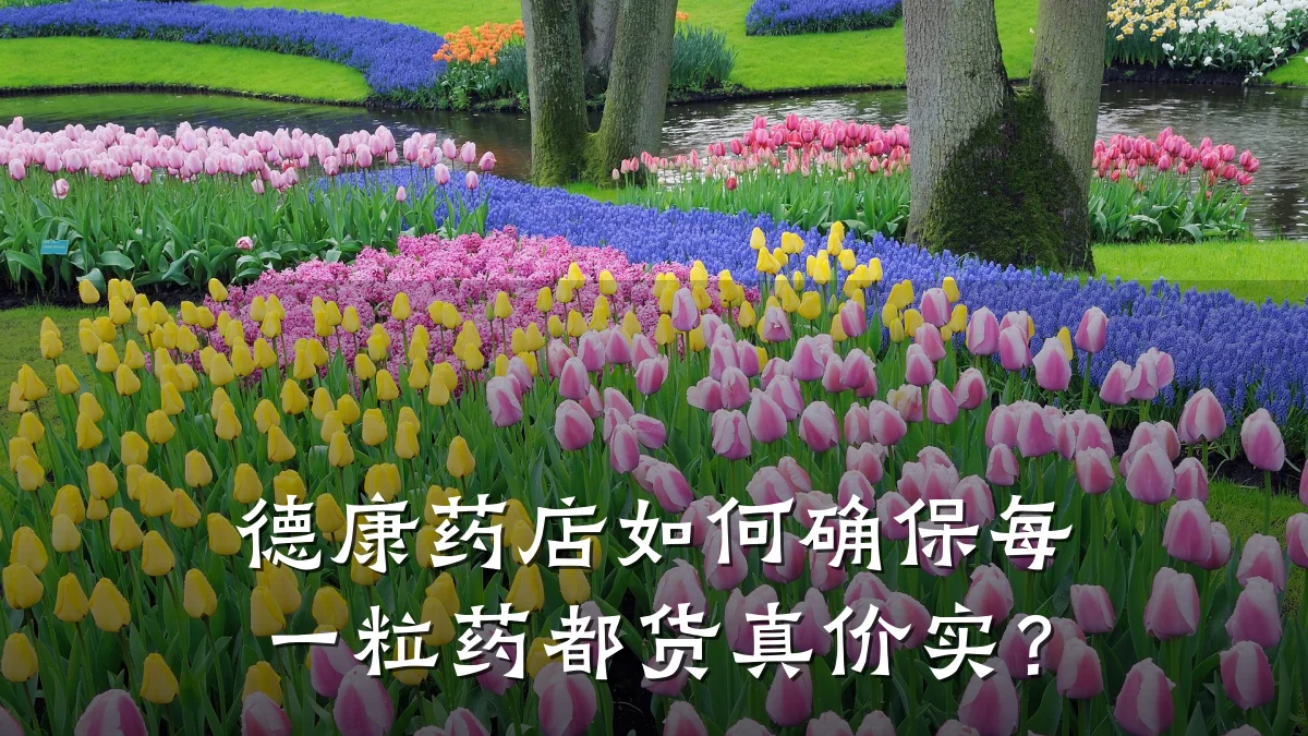 德康药店如何确保每一粒药都货真价实?