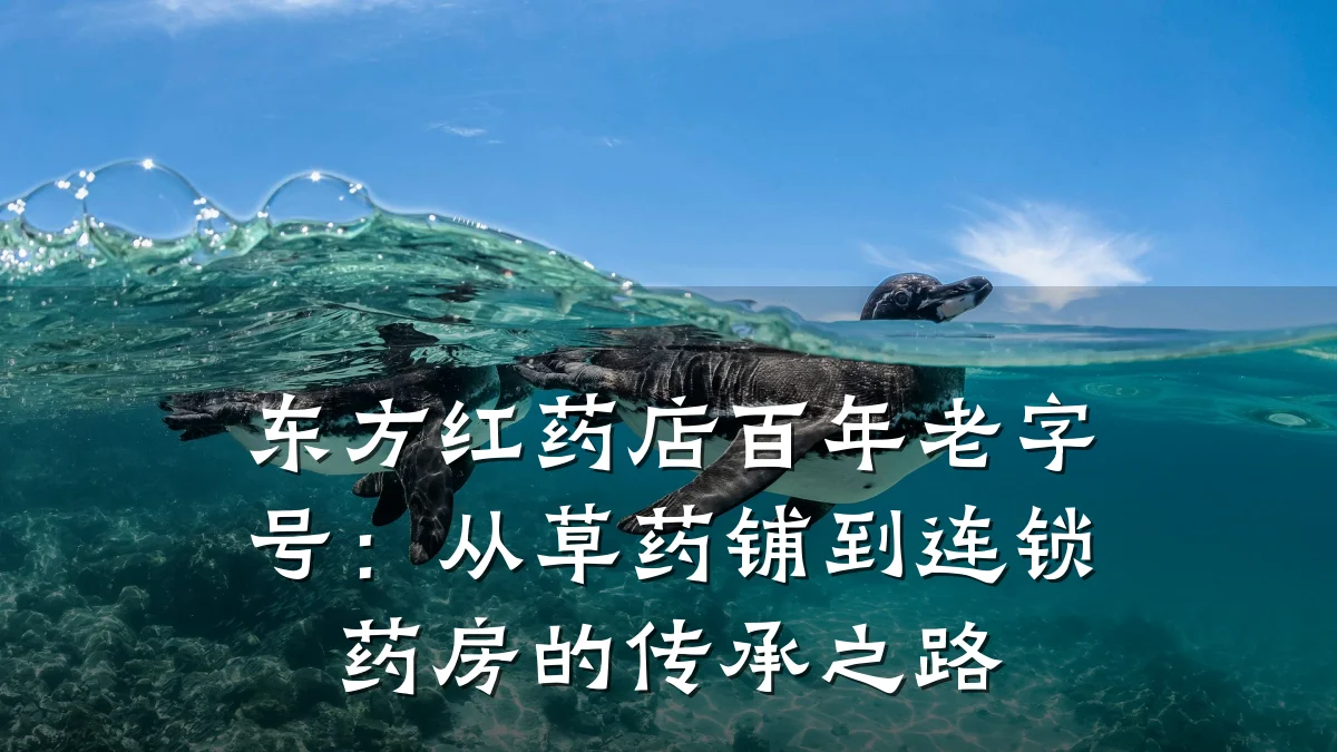 东方红药店百年老字号:从草药铺到连锁药房的传承之路