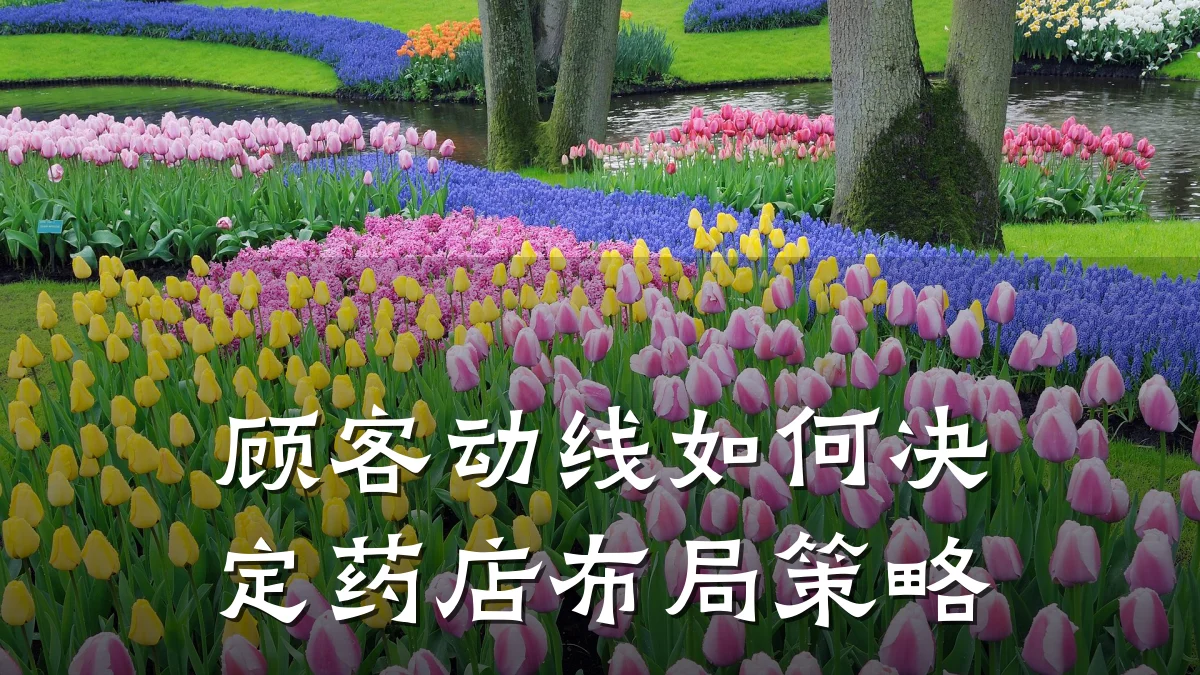 顾客动线如何决定药店布局策略