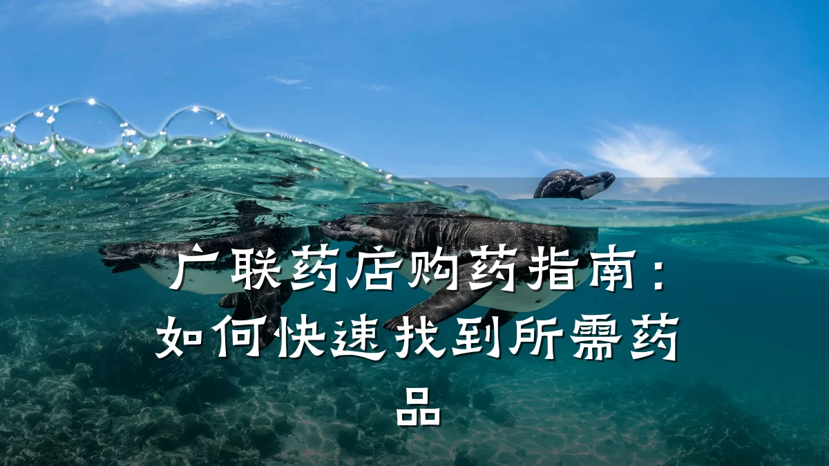 广联药店购药指南：如何快速找到所需药品