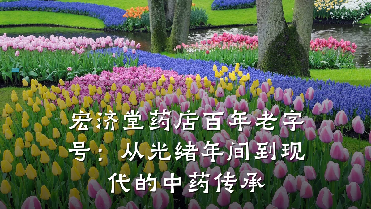 宏济堂药店百年老字号:从光绪年间到现代的中药传承