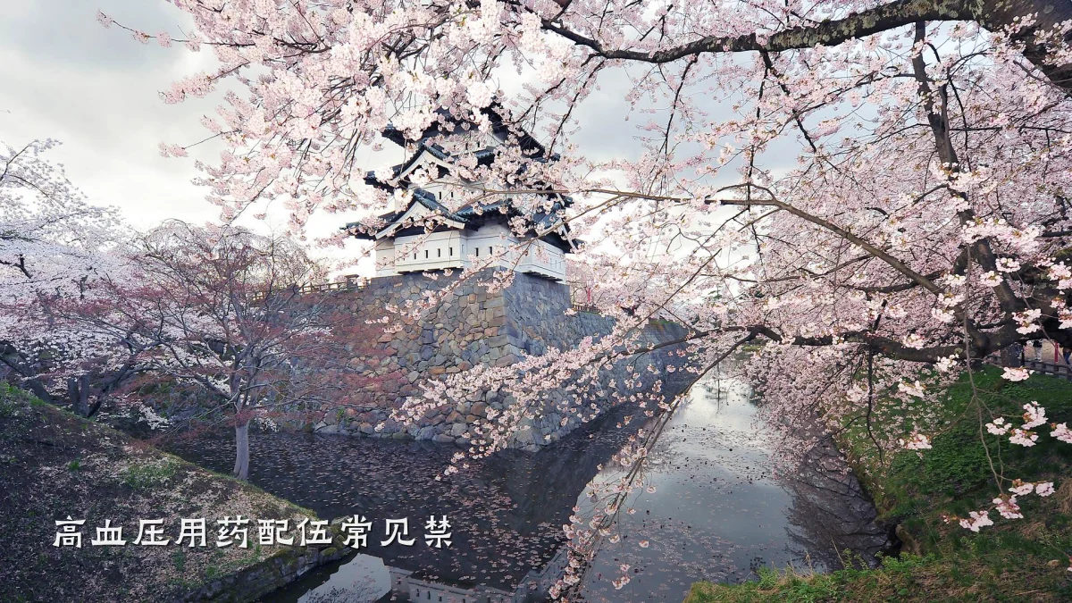 高血压用药配伍常见禁